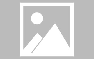 安岳免编程制作网站（免编程制作网站推荐）